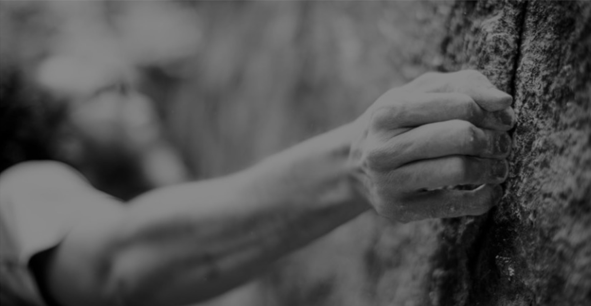 banner01